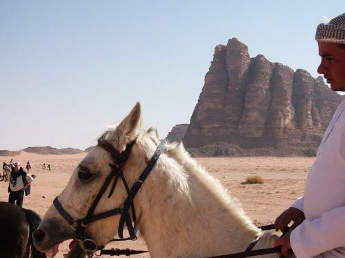 Captain'S Desert Camp Wadi Rum Extérieur photo
